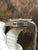 TAG Heuer Aquaracer Defender WAJ2119.FT6015 Black Dial Automatic Men's Watch
